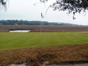 Pawleys Plantation #13 takes you out to the middle of the tidal marsh
