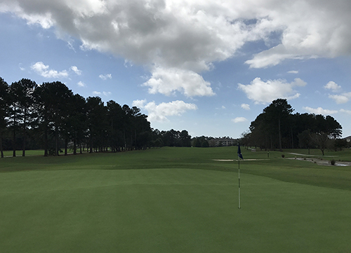Crow creek is in great shape after a greens renovation project