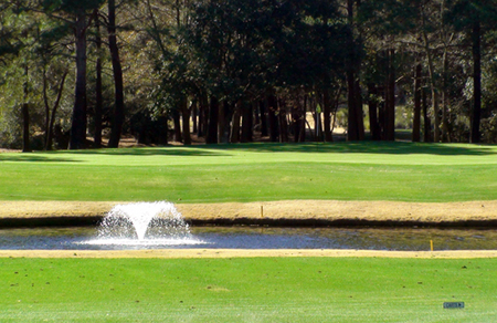 The three best holes on the Tradition Club according to general manager Clay DuBose, including one where large oak trees can come into play