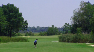 Wedgefield 015.jpg