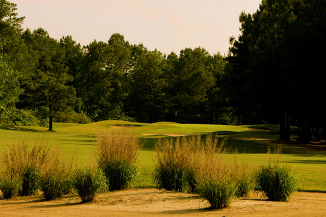 Meadowlands is a nice addition to a Myrtle Beach golf package 