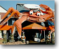 The Giant Crab Seafood Buffet may have a cartoon-ish logo, and a crazy decor, but it all adds to the fun!