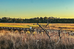 Fall-2025-Campaign-Jim-Maggio-Photo-2446-2