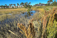 Fall-2025-Campaign-Jim-Maggio-Photo-2464-2