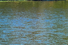 Fall-2025-Campaign-Jim-Maggio-Photo-2475-2