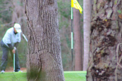 Brittain Resorts Classic at Barefoot-Norman - Feb. 5, 2024 (David Williams Photo)