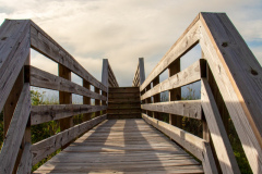 MB-Golf-Authority-Carolina-Palms-Beach-House-Sept.-22-2025-David-Williams-Photo-43-2