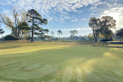 Myrtlewood-PineHills - Nov. 9, 2023 (David Williams Photo)
