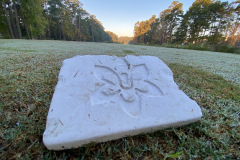 Wachesaw Plantation East - Nov. 7, 2023 (David Williams Photo)