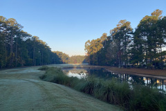 Wachesaw Plantation East - Nov. 7, 2023 (David Williams Photo)