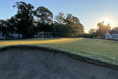 Wachesaw Plantation East - Nov. 7, 2023 (David Williams Photo)