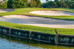 River Club - Sept. 10, 2024 (Jim Maggio Photo)