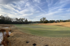 True Blue - Feb. 8, 2023 (David Williams Photo)