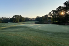 Arrowhead - June 28, 2023 (David Williams Photo)