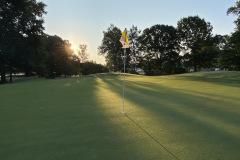 Arrowhead - June 28, 2023 (David Williams Photo)