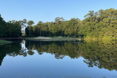 Arrowhead - June 28, 2023 (David Williams Photo)