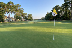 Arrowhead - June 28, 2023 (David Williams Photo)