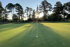 Arrowhead - June 28, 2023 (David Williams Photo)