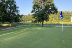Arrowhead - June 28, 2023 (David Williams Photo)