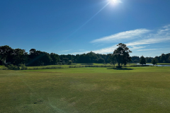 Barefoot-Love - Aug. 25, 2025 (Joe Novak Photo)