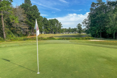 Diamondback - Aug. 28, 2025 (Joe Novak Photo)