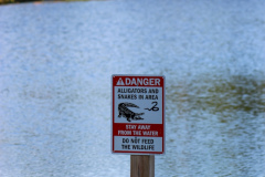 River Club - Aug. 26, 2025 (David Williams Photo)