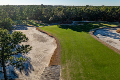 True Blue - Feb. 7, 2024 (Jim Maggio Photo)