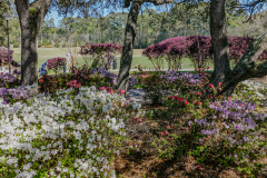 Litchfield Country Club - March 29, 2024 (Jim Maggio Photo)