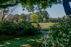 Litchfield Country Club - March 29, 2024 (Jim Maggio Photo)