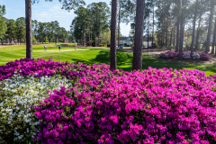 SouthCreek at Myrtle Beach National - March 26, 2024 (Jim Maggio Photo)