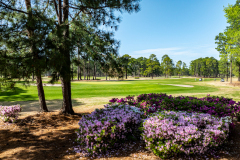 West Course at Myrtle Beach National - March 26, 2024 (Jim Maggio Photo)