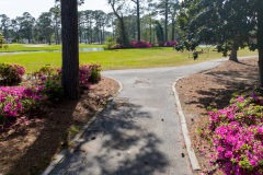 West Course at Myrtle Beach National - March 26, 2024 (Jim Maggio Photo)