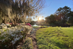 Caledonia Golf & Fish Club - March 15, 2023 (David Williams Photo)