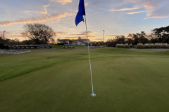The Pearl - March 17, 2023 (David Williams Photo)
