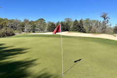 Willbrook Plantation - March 21, 2023 (Jim Maggio Photo)