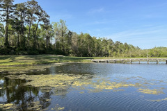 Arcadian Shores - April 6, 2023 (Jim Maggio Photo)