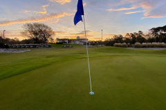 The Pearl - March 17, 2023 (David Williams Photo)