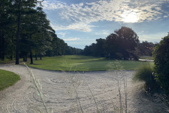 The Pearl - Aug. 16, 2023 (David Williams Photo)