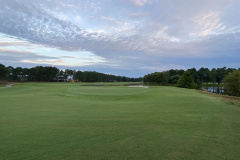 Thistle - Aug. 16, 2023 (David Williams Photo)