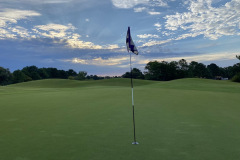 Thistle - Aug. 16, 2023 (David Williams Photo)