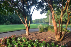 TPC Myrtle Beach - July 30, 2024 (Rob Spallone Photo)