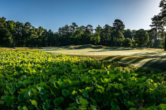 Long Bay Golf Club - June 20, 2024 (Jim Maggio Photo)