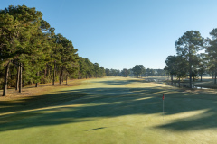 Man-O-War-Nov.-5-2025-David-Williams-Photo-02