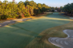 Meadowlands-No.-12-Nov.-19-2025-Jim-Maggio-Photo-0017_D