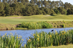 Monday After the Masters - April 10, 2023 (David Williams Photo)