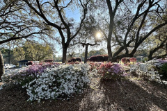 Litchfield Country Club - March 21, 2023 (Jim Maggio Photo)