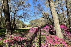 Tradition Golf Club - March 21, 2023 (Jim Maggio Photo)