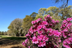 Tradition Golf Club - March 21, 2023 (Jim Maggio Photo)