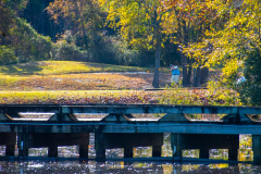 Fall-Classic-at-River-Hills-Nov.-19-2025-Jim-Maggio-Photo-0792-Enhanced-NR
