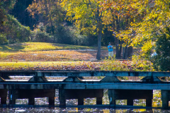 Fall-Classic-at-River-Hills-Nov.-19-2025-Jim-Maggio-Photo-0793-Enhanced-NR